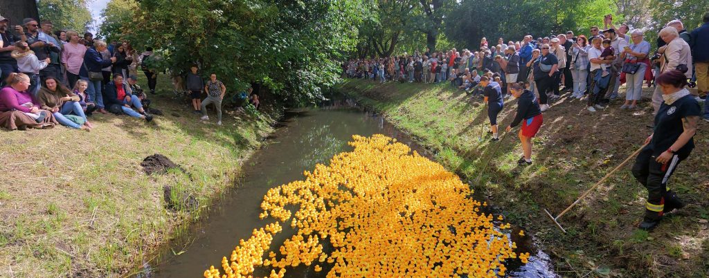 Gäste am Ufer der Glinze schauen auf die Enten